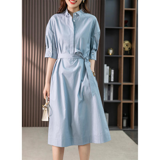 85782原形设计感小众衬衫裙女中长款2024春夏季新款收腰连衣裙高级感 商品图0