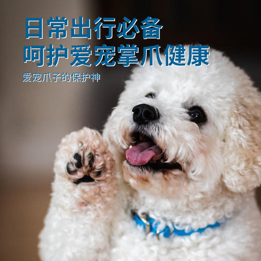 德国 cdVet 施德维特 爪子护理剂 10ml 商品图3