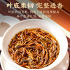 【明前头春茶】八百秀才正宗金牡丹红茶礼盒200g 商品缩略图6
