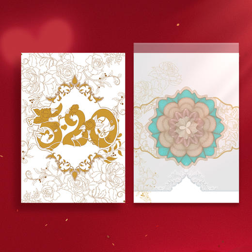 520纪念钞 商品图3