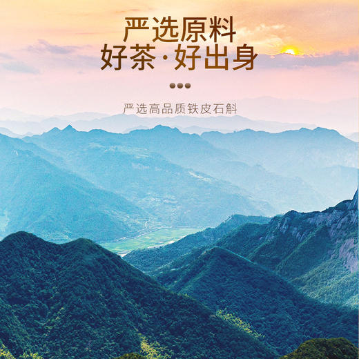 【正宗同仁堂品牌】北京同仁堂铁皮石斛礼盒100克 浙江原产 胶质浓郁  纹理清晰 色泽金黄SY 商品图3