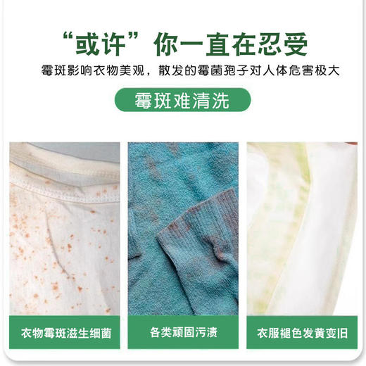 TeddyCLANS衣物霉螨净拍一发三 商品图1