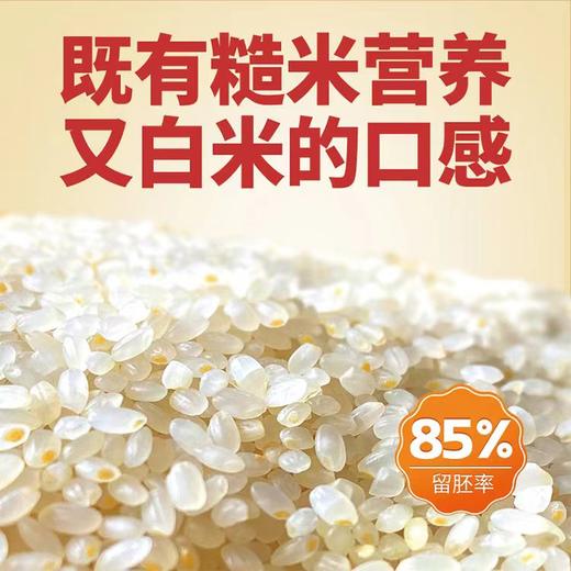 黑龙江五常稻皇妃大米胚芽米 2.5kg*2袋（10斤装） 商品图7