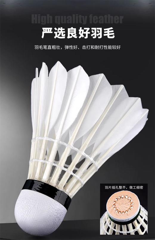 亚狮龙羽毛球 1号2号3号4号5号6号7号耐打飞行稳定专业比赛训练羽毛球 12只/筒 商品图3