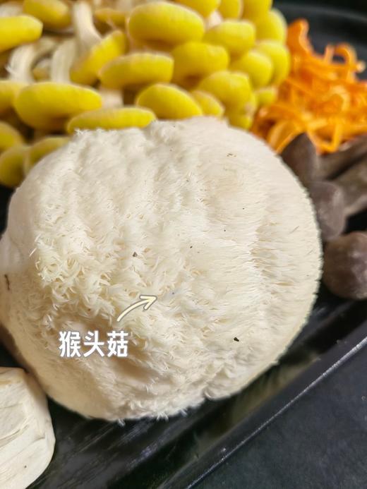吃菌子的快乐！【新鲜云南七彩菌菇组合】云南人的专属快乐 500g甄选6-7种新鲜菌菇！1000g甄选9-10种新鲜菌菇！刺身、蒸炒涮煮炖，怎么吃都好吃~ 商品图11