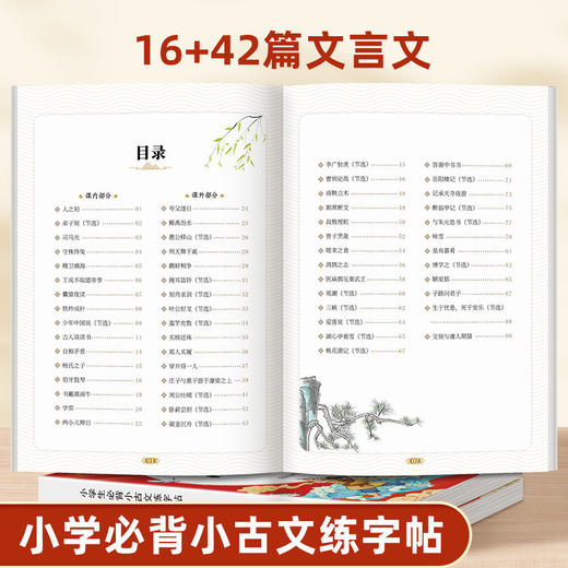（老会员）小学生文学常识小古文练字帖记忆训练语文巩固规范书写文学汉字 商品图6
