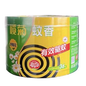 榄菊大盘野菊花蚊香36单圈 558g/桶
