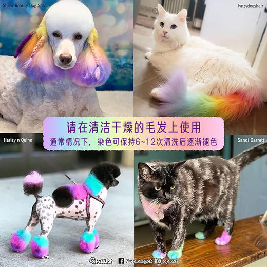 半持久宠物染色剂-泡泡糖粉Bubble Gum Pink OPAWZ小爪印 商品图3
