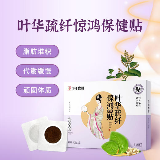 叶华疏纤惊鸿保健贴 商品图0