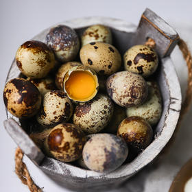 生态鹌鹑蛋
