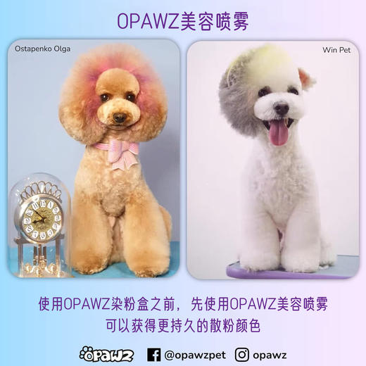 快染粉盒12色套装 OPAWZ小爪印 商品图4