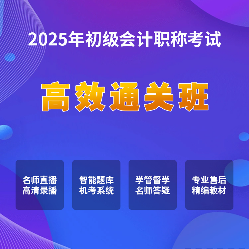 2025年初级会计考试【高效通关班】