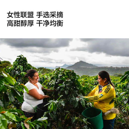 《沙漏》电影联名挂耳咖啡5片装12g*5 商品图3