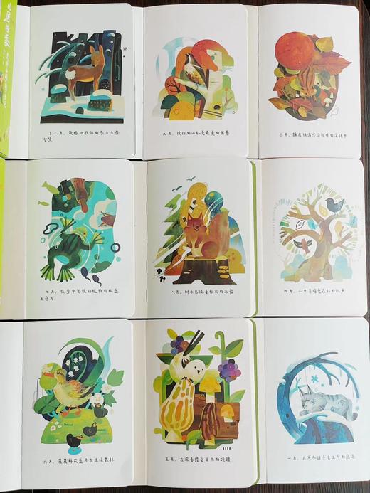 山居四季：长白山观察日记(全4册) 商品图3