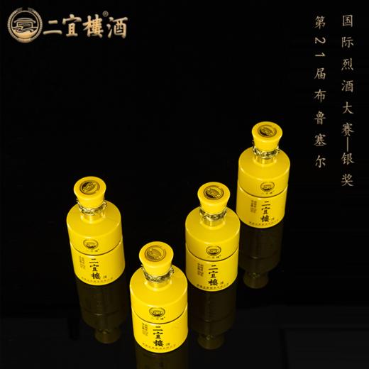 二宜楼 小二宜楼 浓香型白酒100ml*12瓶 （52度） 商品图1
