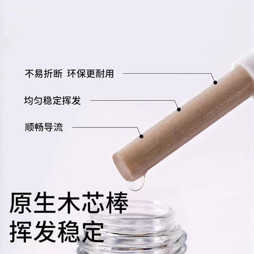 【安心驱蚊！远离蚊扰】电蚊香液家用无味插电驱蚊加热器套装商超酒店宾馆蚊香液，轻松防蚊，无味又安全，像魔法一样让你远离蚊虫困扰。ry 商品图1