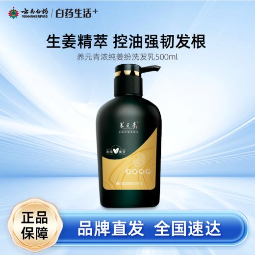 【白药精选】云南白药养元青浓纯姜芬洗发露强根健发500ml大瓶装生姜洗发水无硅油温和养护 商品图0