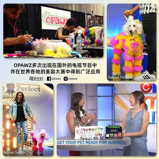 宠物持久染色剂：火焰橙色Flame Orange OPAWZ小爪印 商品图2