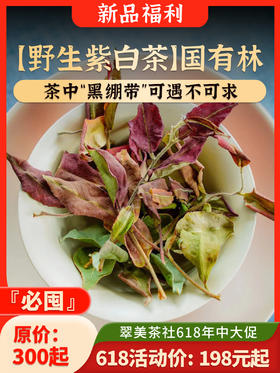 【野生紫白茶】茶中“黑绷带”可遇不可求！