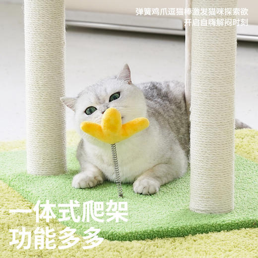 zeze农场小屋爬架(中号)-B  商品图3