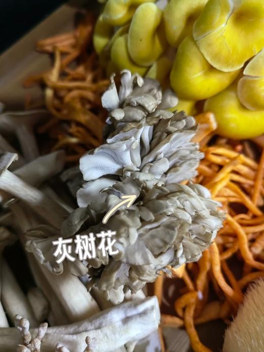 吃菌子的快乐！【新鲜云南七彩菌菇组合】云南人的专属快乐 500g甄选6-7种新鲜菌菇！1000g甄选9-10种新鲜菌菇！刺身、蒸炒涮煮炖，怎么吃都好吃~ 商品图12