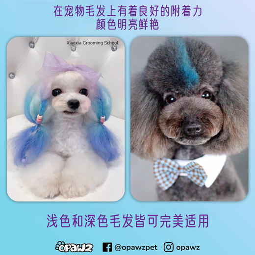 快染粉盒12色套装 OPAWZ小爪印 商品图5