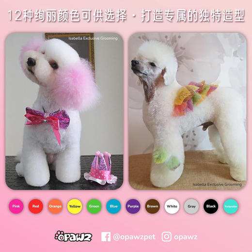 快染粉盒12色套装 OPAWZ小爪印 商品图7