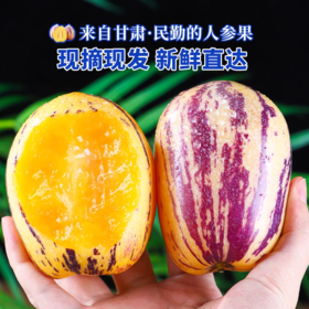 【甘肃特产！沙漠民勤人参果】又名“长寿果”，果肉爽甜多汁、口感甜润、清香味美叁水果新鲜黄肉熟