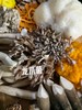 吃菌子的快乐！【新鲜云南七彩菌菇组合】云南人的专属快乐 500g甄选6-7种新鲜菌菇！1000g甄选9-10种新鲜菌菇！刺身、蒸炒涮煮炖，怎么吃都好吃~ 商品缩略图4