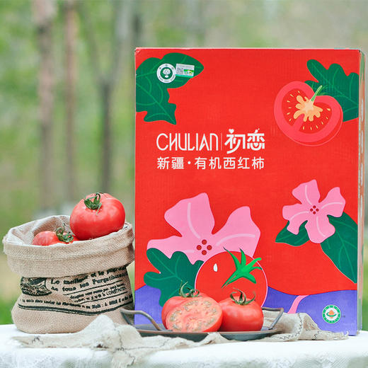 2026年番茄来啦！！新疆有机番茄全程有机种植 纯天然 顺应时节 自然成熟 沙瓤细腻 口感醇厚 汁水充沛  皮薄汁满 黄金酸甜配比 来自新疆的健康有机食材 商品图4
