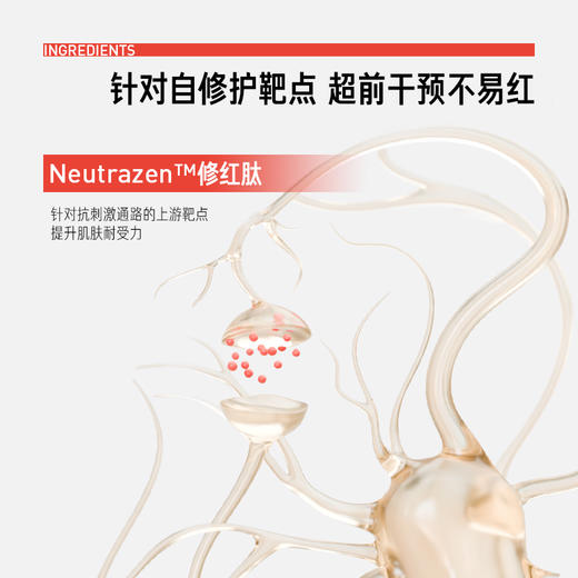 毕生之研厚脸皮屏障修护轻乳霜 商品图2