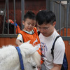 12月21日 天河·小骑士体验亲子半日 | 马术科普小课堂、投喂&护理马匹、骑马遛弯乘骑轻体验！！ 商品缩略图2