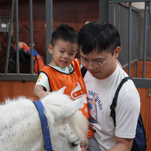 12月21日 天河·小骑士体验亲子半日 | 马术科普小课堂、投喂&护理马匹、骑马遛弯乘骑轻体验！！ 商品图2