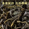 【明前头春茶】八百秀才正宗英德绿茶礼盒装200g 商品缩略图3