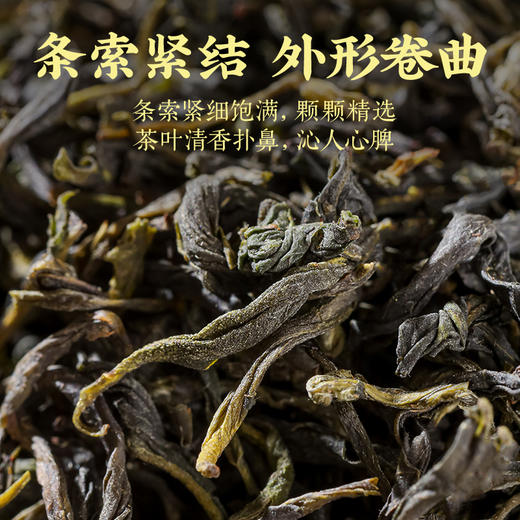 【明前头春茶】八百秀才正宗英德绿茶礼盒装200g 商品图3