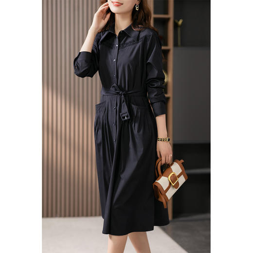 87770原形法式优雅衬衫连衣裙女2024春装新款收腰显瘦休闲中长款裙子 商品图2