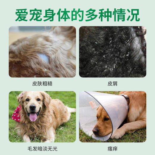 德国 cdVet 施德维特 洗发精华(犬） 200ml 商品图1