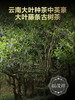 最后6份，拍半斤送半斤【黄草林散茶】 临沧“小冰岛” 小众山头香甜型典范 2024年春茶临沧茶区普洱茶生茶散茶 商品缩略图3