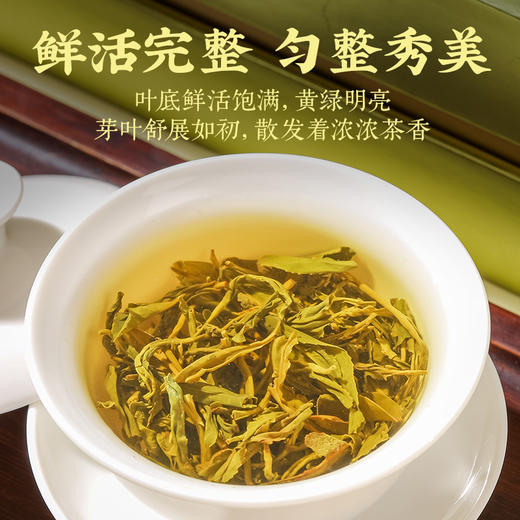 【明前头春茶】八百秀才正宗英德绿茶礼盒装200g 商品图5