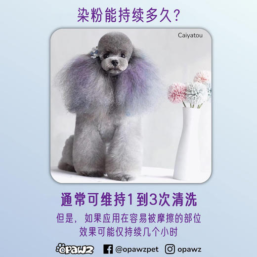 快染粉盒12色套装 OPAWZ小爪印 商品图6