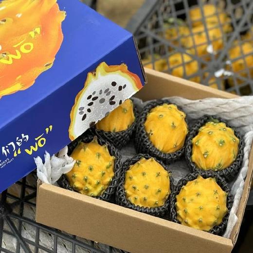 水果礼盒大联盟 商品图0