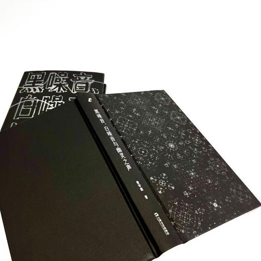 黑噪音、白噪音与幽灵之声（知名哲学教授姜宇辉写给声音的一封私信）新行思 商品图4