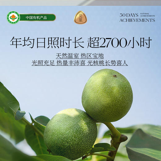 觅菓AA+特大颗粒云南有机核桃仁790g罐装大坚果休闲零食 商品图5