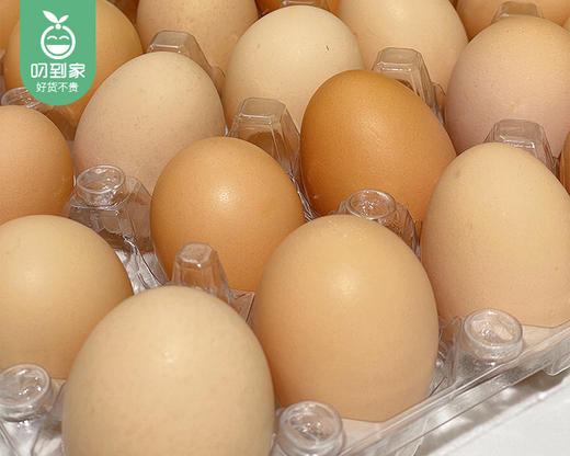 【到手2盒】咯咯咿虫子鸡蛋/1份（约1.2kg*2盒，每盒30枚）生产日期：4月9日左右 商品图2