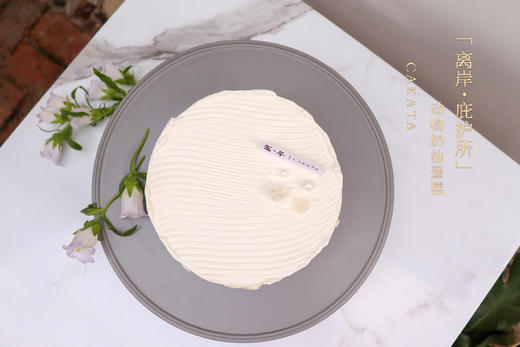 离岸·庇护所 | 动物奶油蛋糕 商品图2