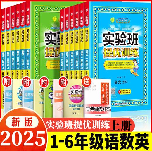 2025小学实验班提优训练上册同步练习册 商品图0