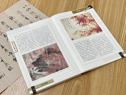 启功口述历史 启功/口述 赵仁珪 章景怀/整理 9787303070190  北京师范大学出版社 正版书籍 商品图6