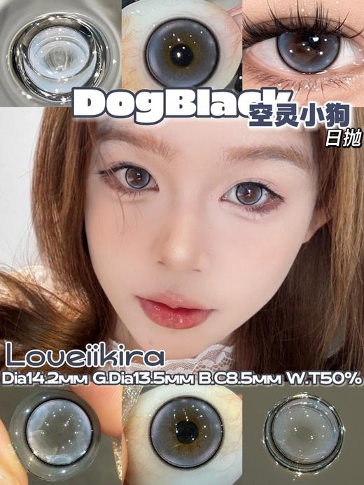 【日抛2】增加新色loveiikira 大直径混血款 直径14.2/14.5 一盒10片装 商品图4