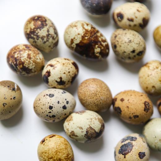 生态即食鹌鹑蛋软罐头  咸香/五香 商品图7