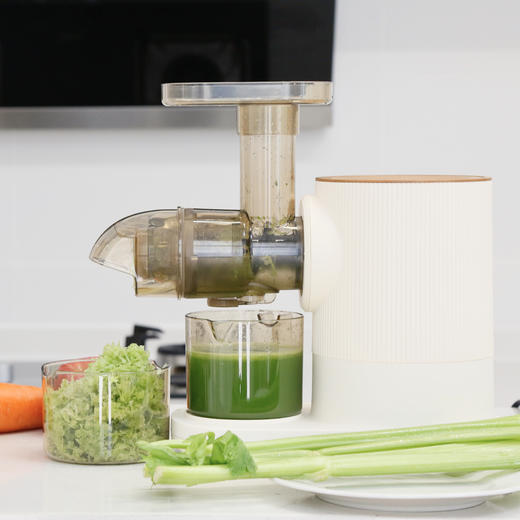 TT慢磨原汁机榨汁机 T330W 商品图0